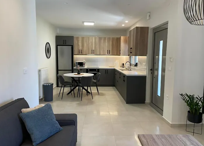 公寓 Stefania's House 干尼亞